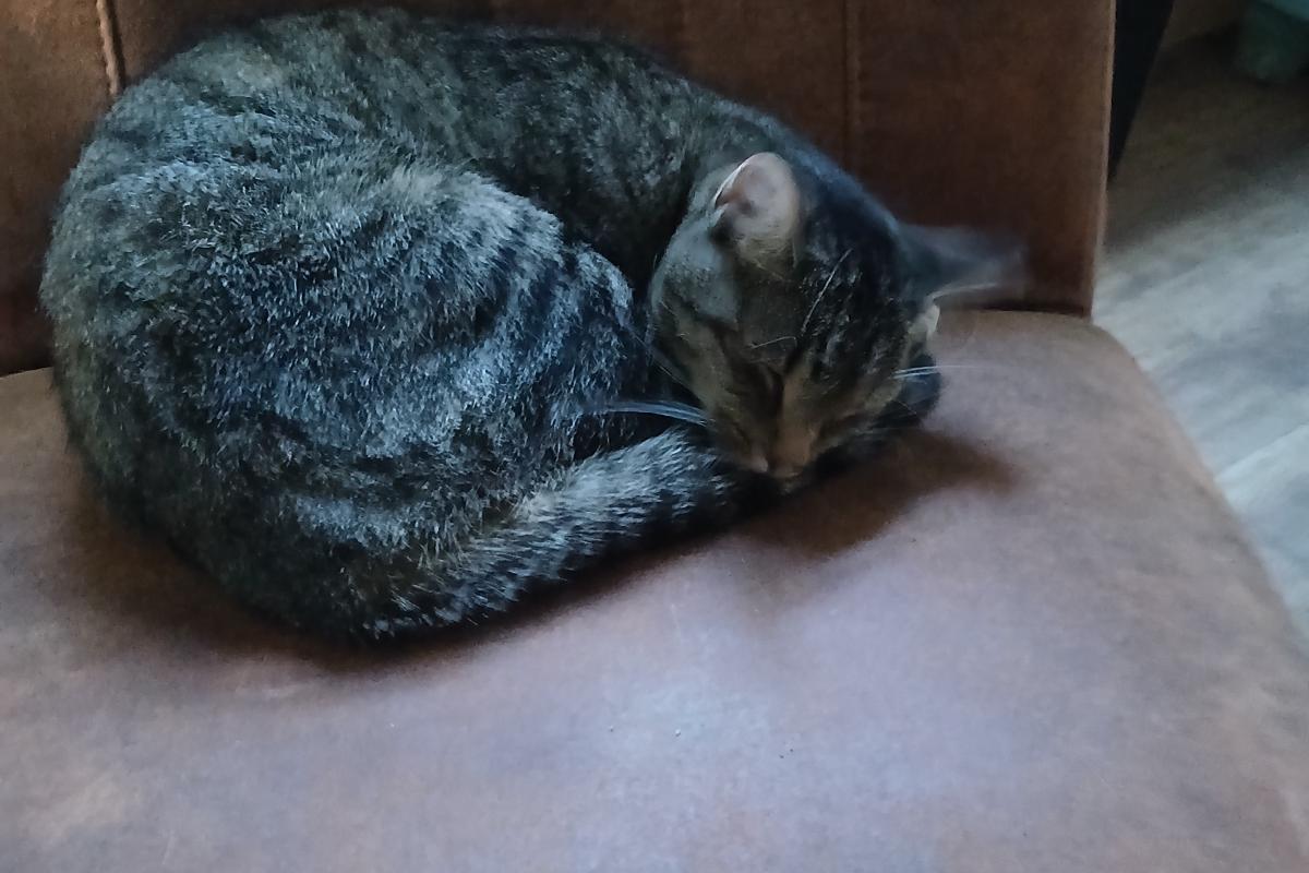 Otilla