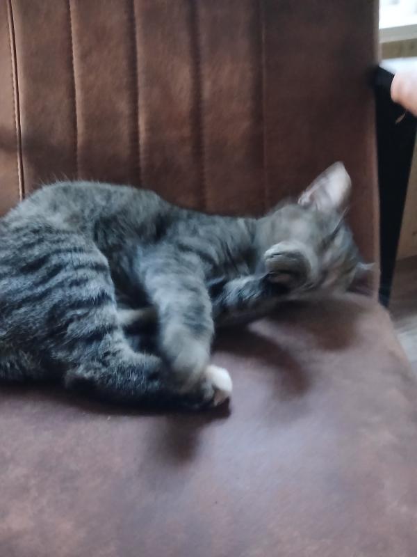 Otilla