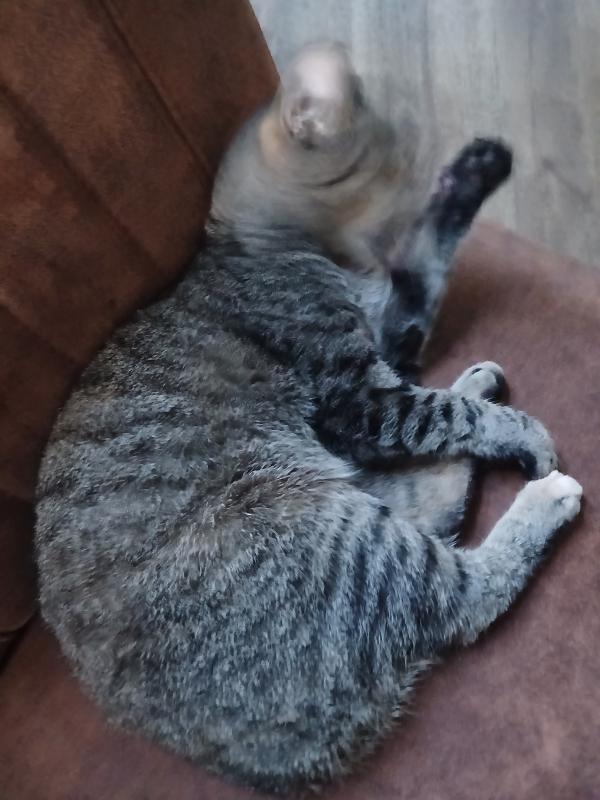 Otilla