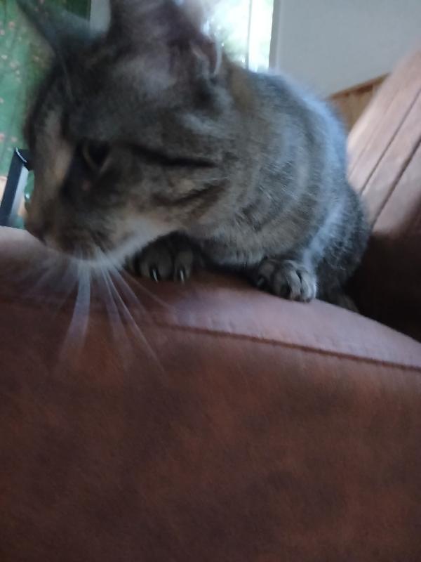 Otilla