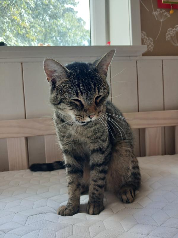 Otilla