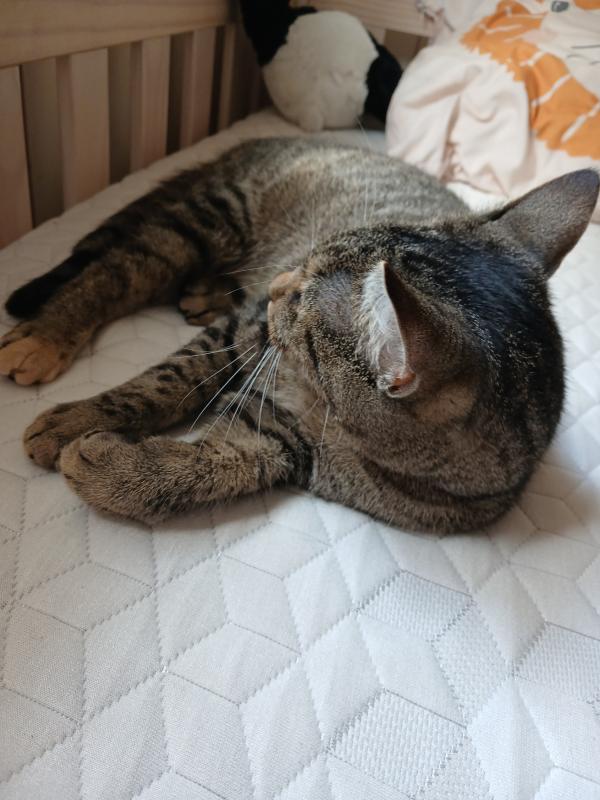 Otilla