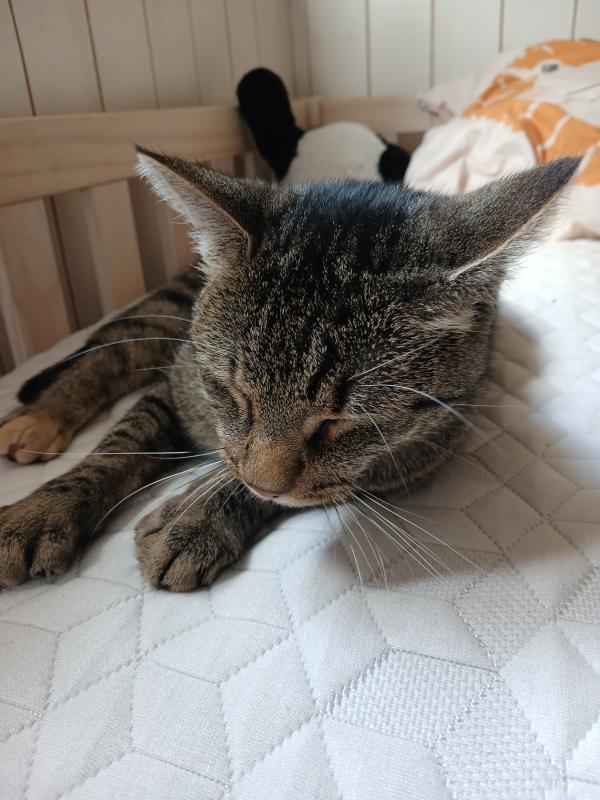 Otilla