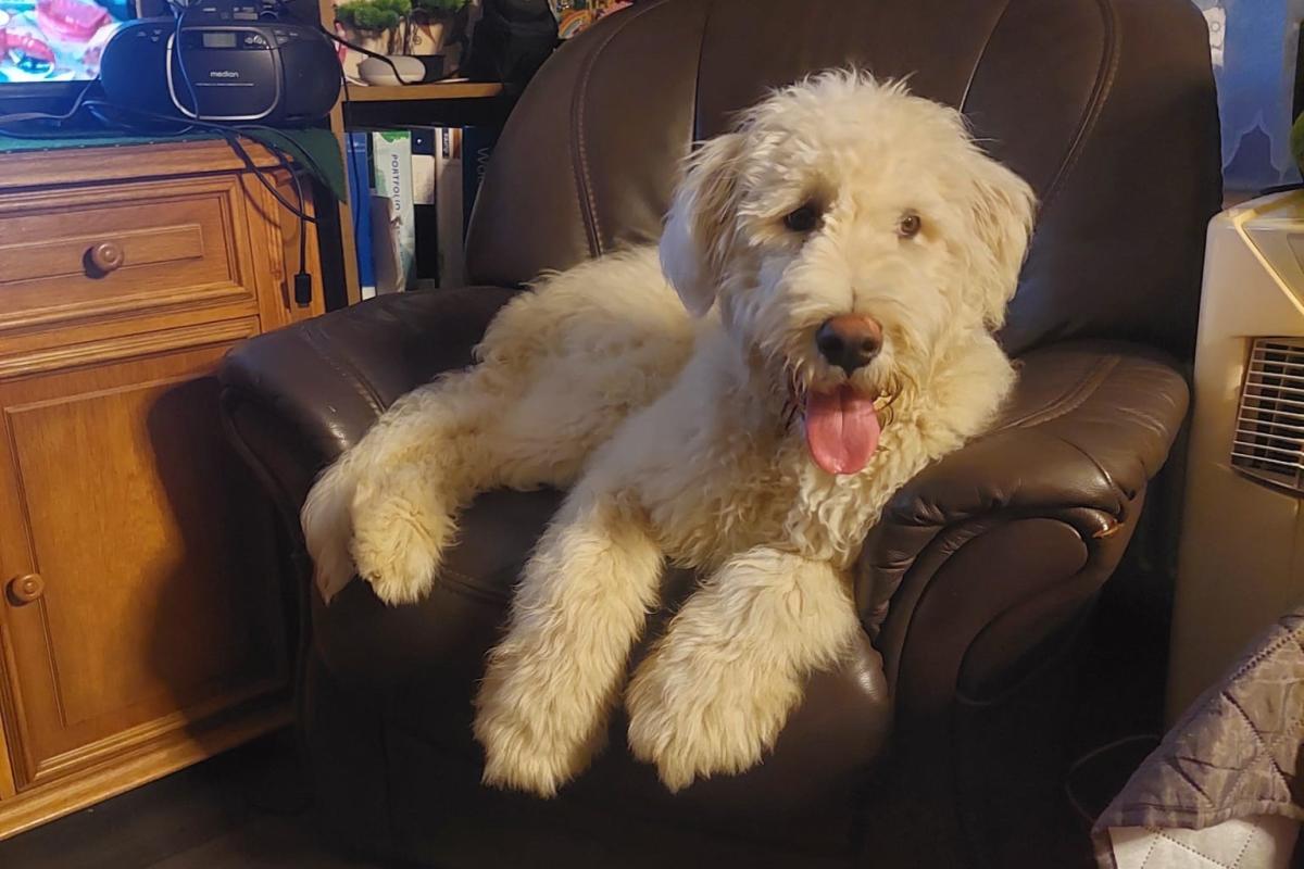 Max