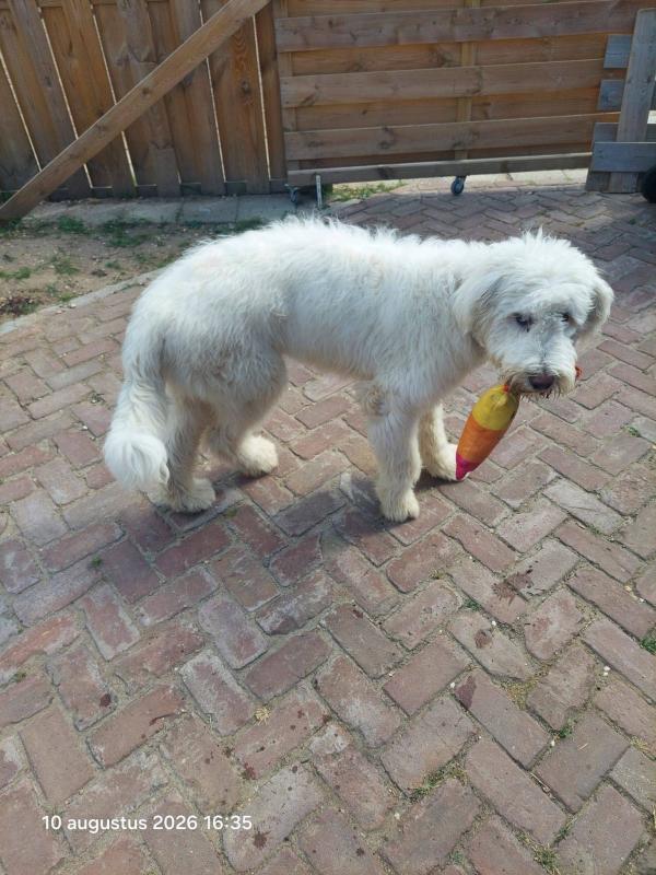 Max