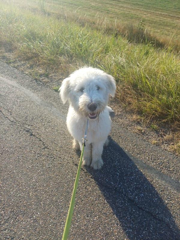 Max