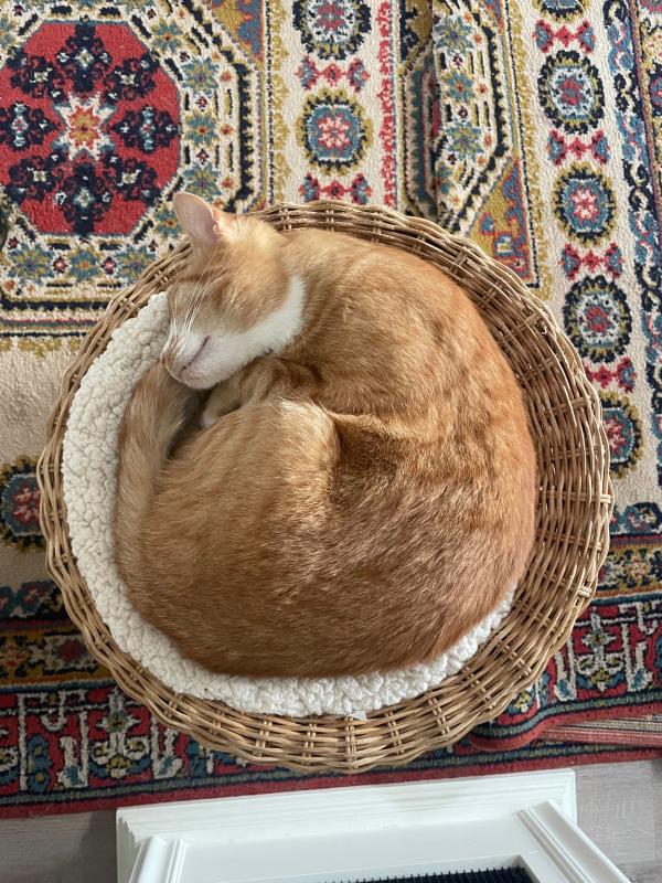 Max