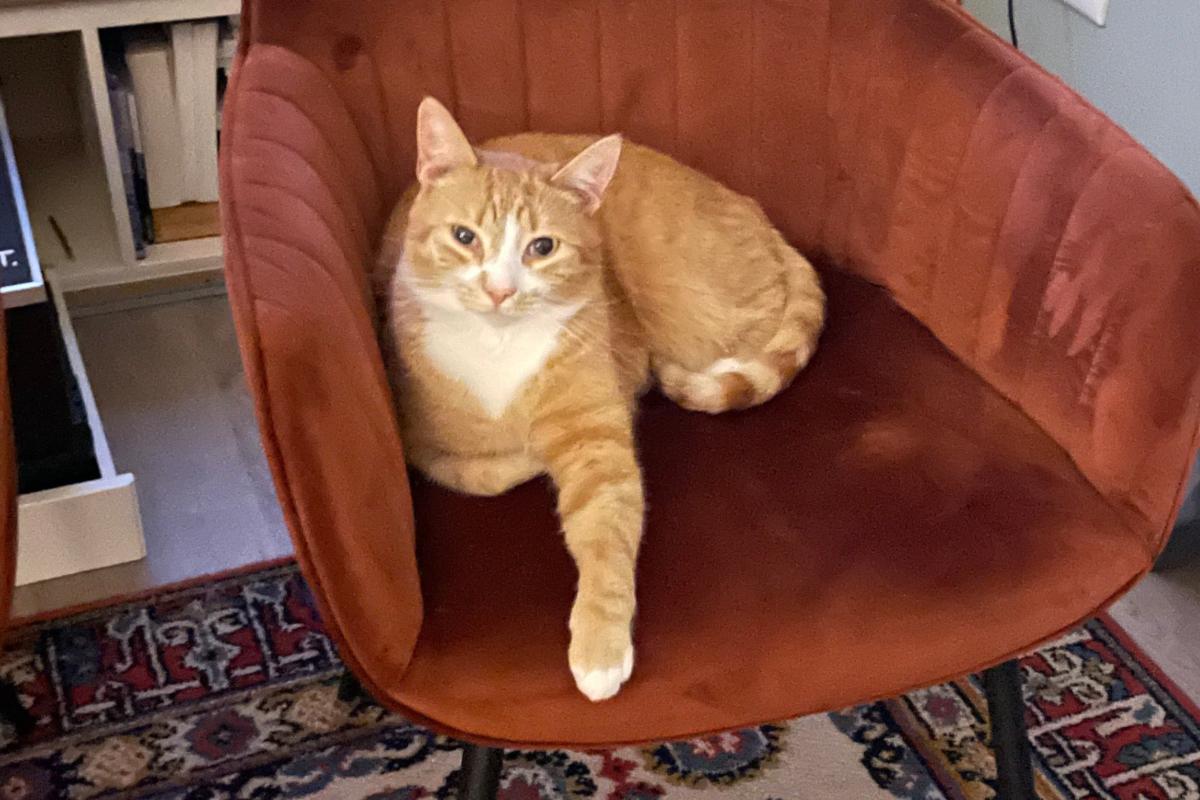 Max