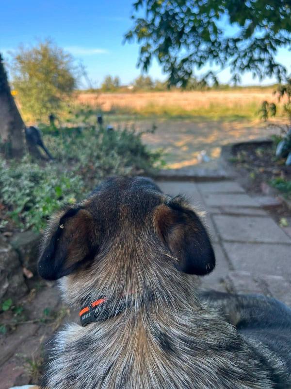 Nora