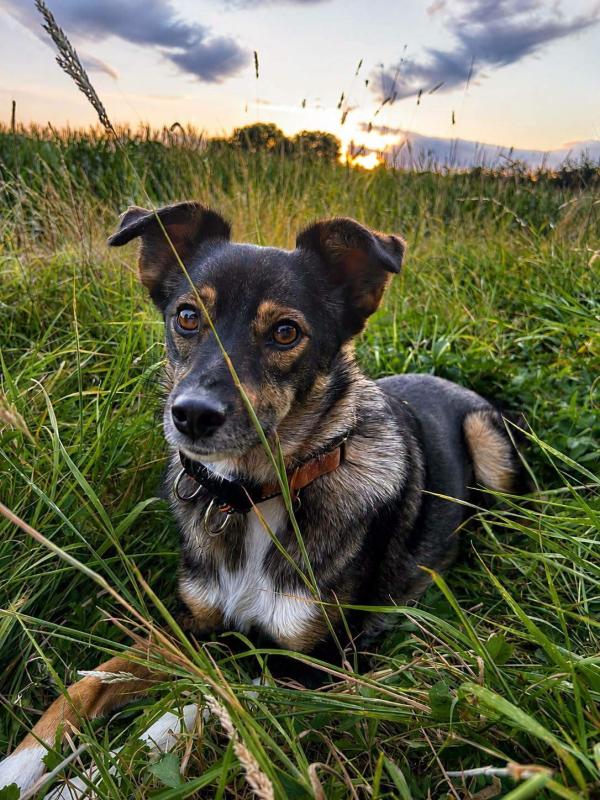Nora