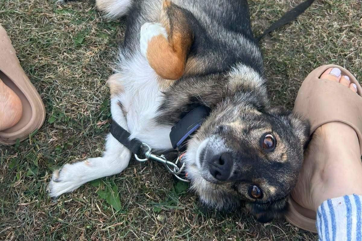 Nora