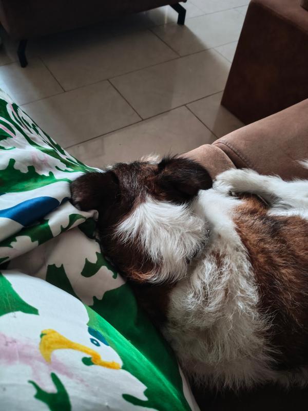 Hessel
