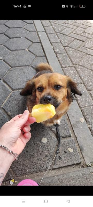 Noortje