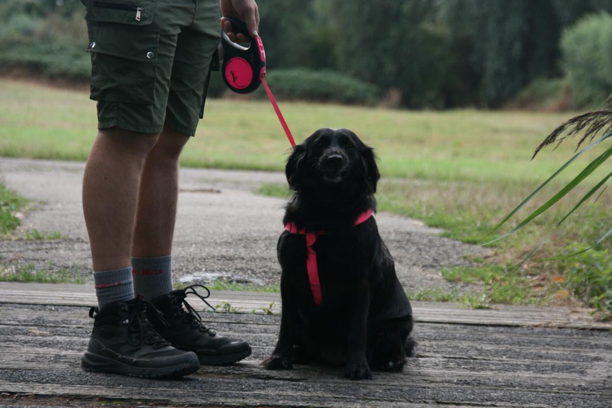 Lola