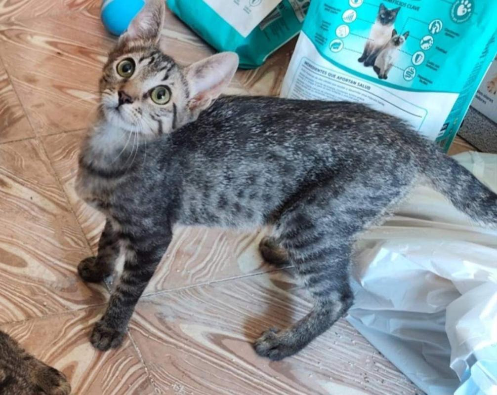 Leo