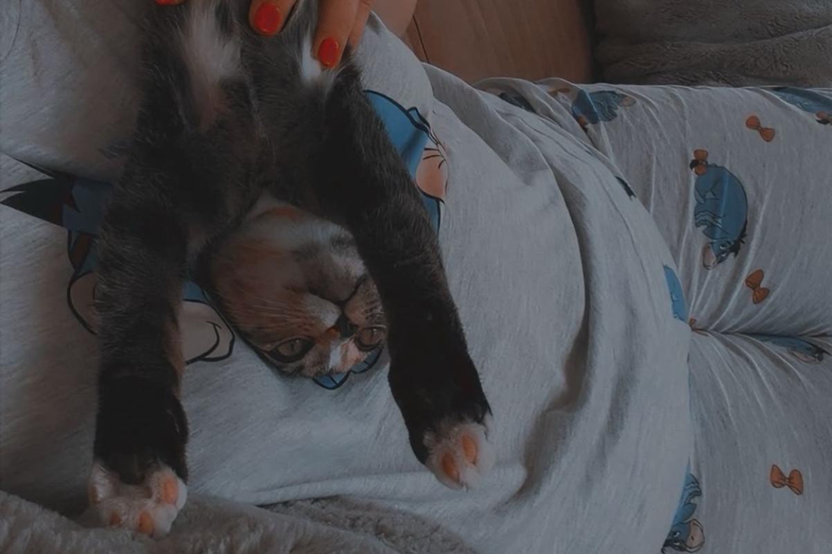 Nala