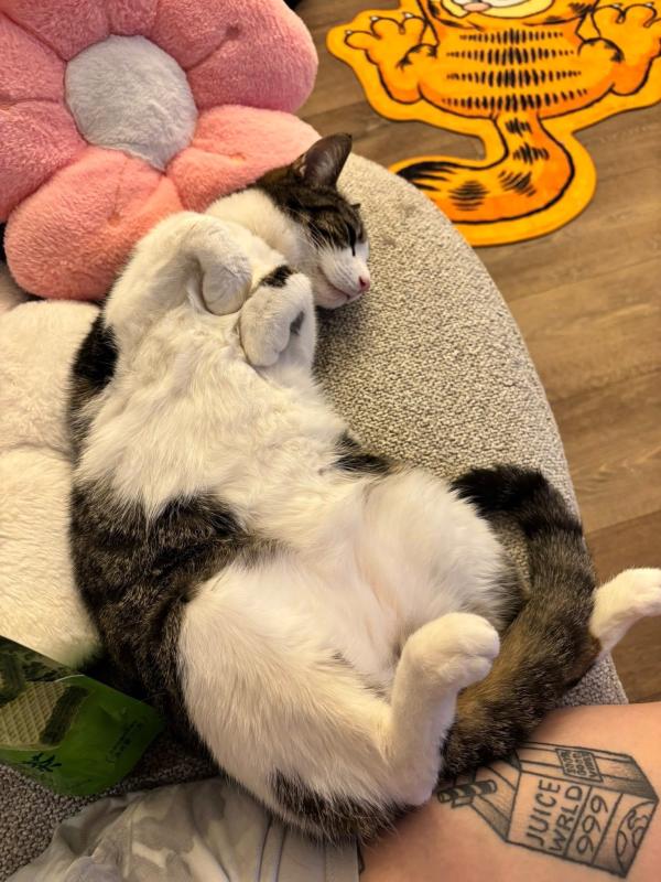 Yoongs