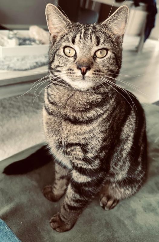 Skye