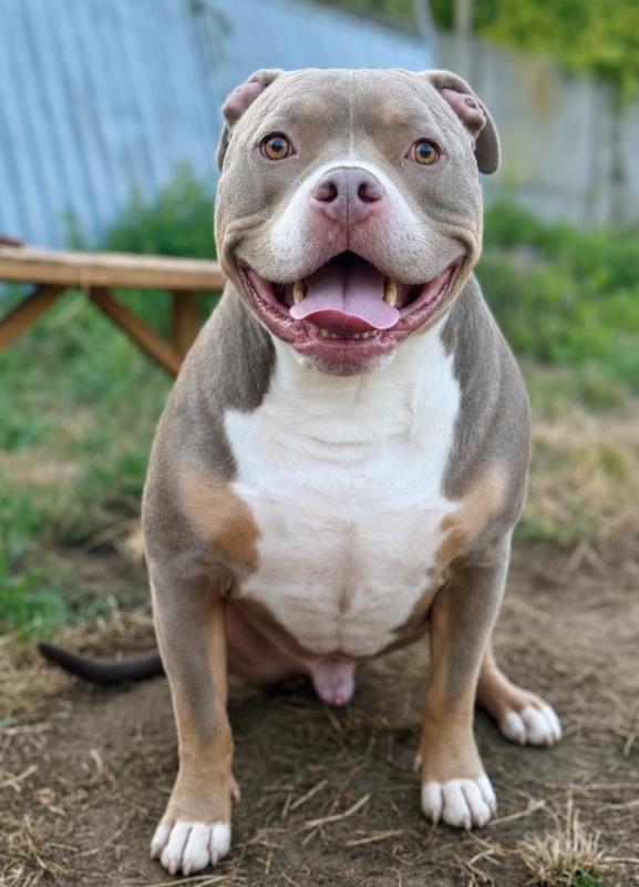 Billy