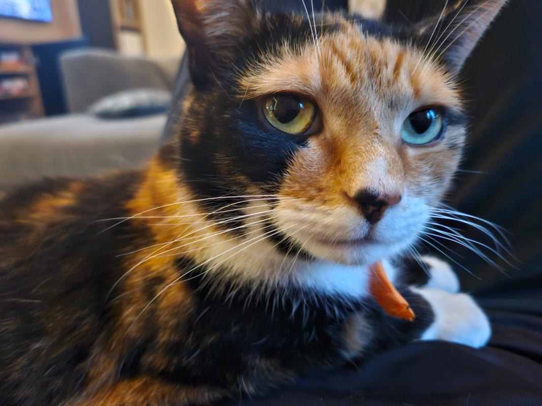 Lulu