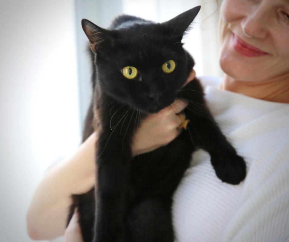 Bagheera