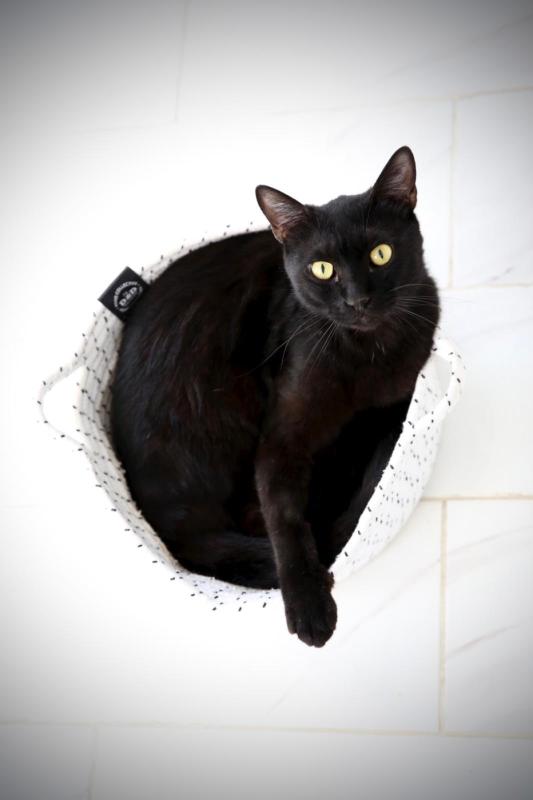 Bagheera