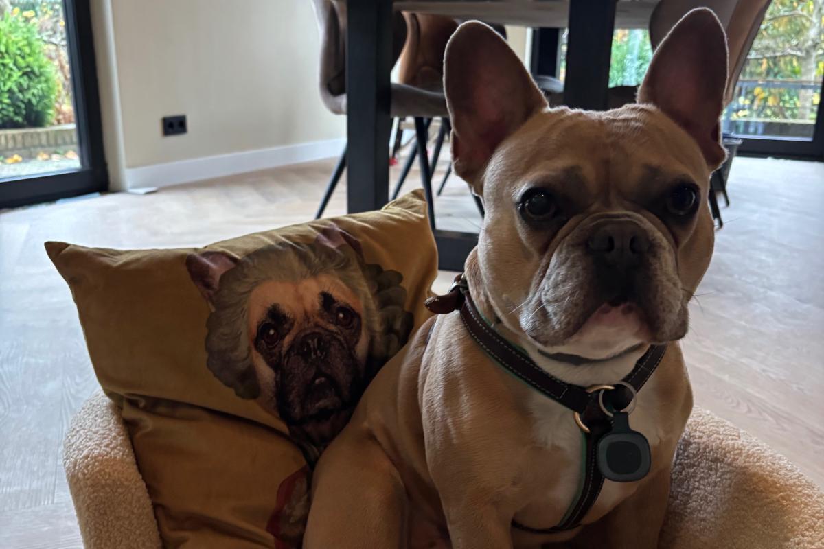Coco