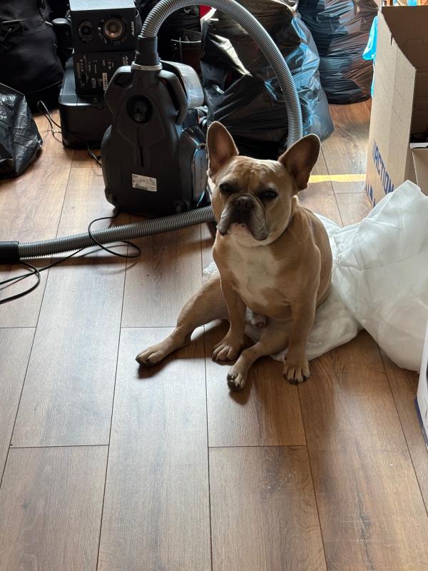 Coco