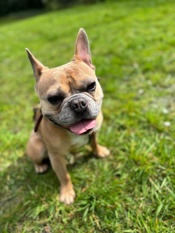 Coco