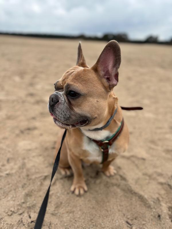 Coco