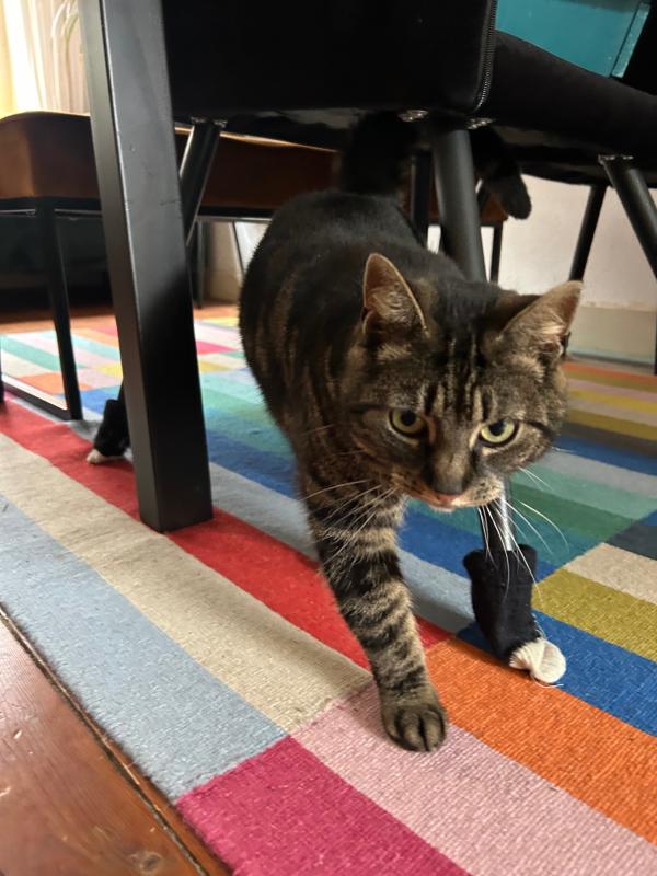 Coco