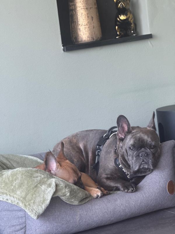Spike