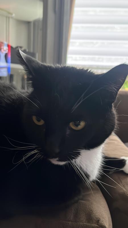 Milo