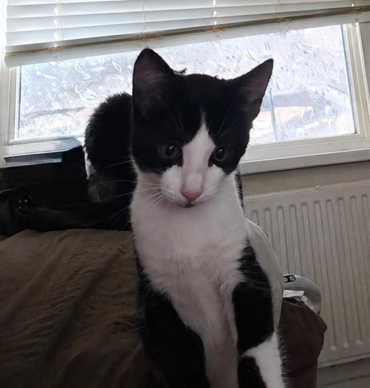 Benny