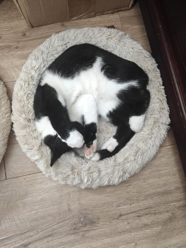 Benny