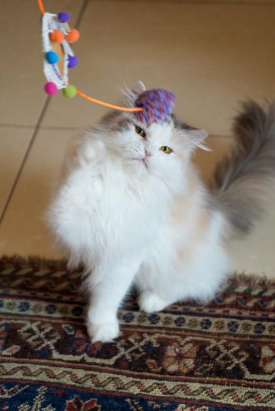 Luna