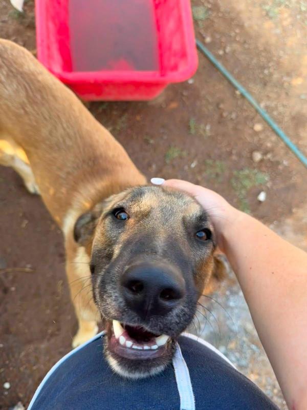 Huey