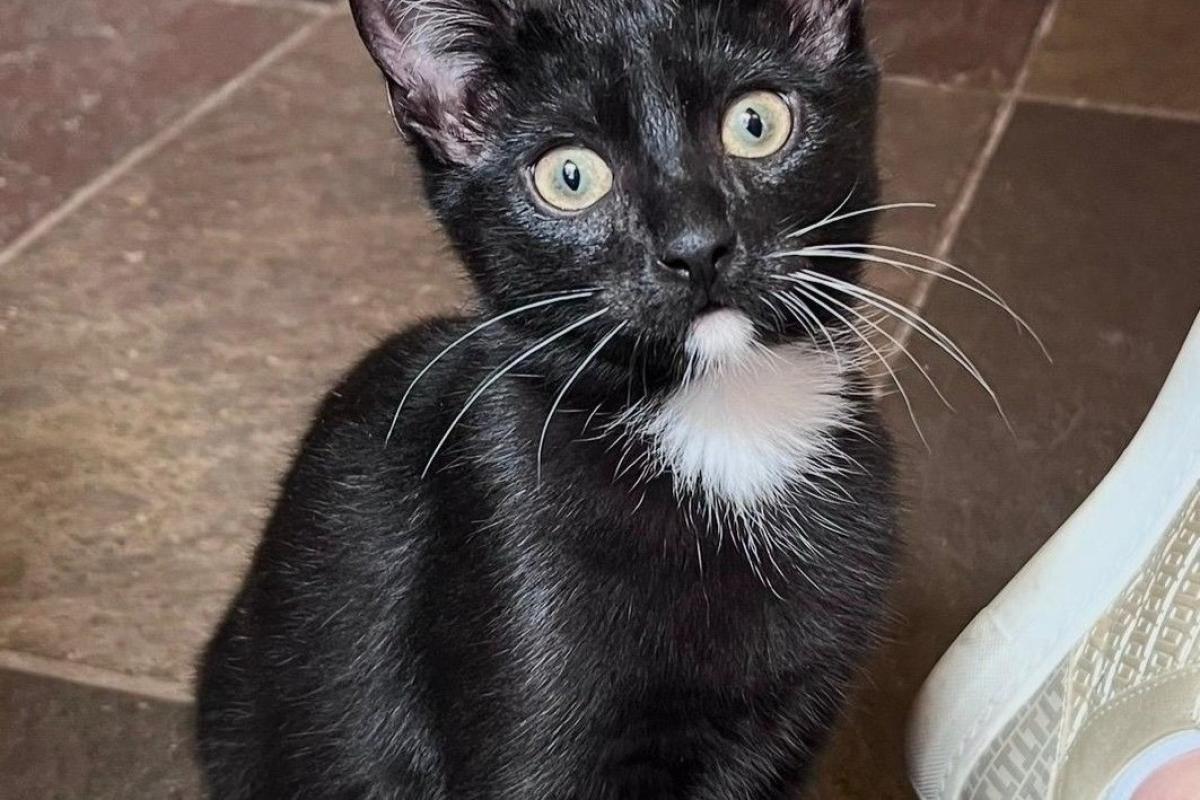 onyx