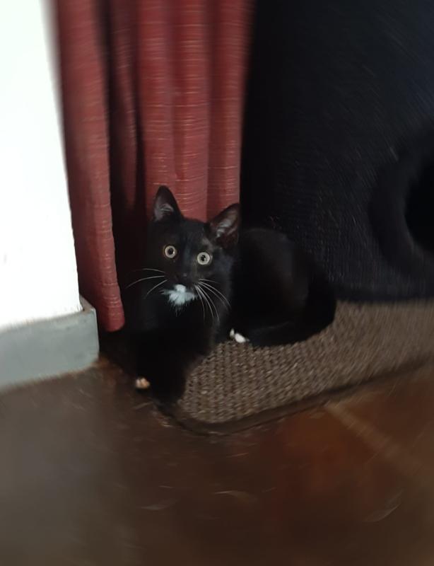 onyx
