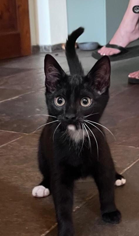 onyx