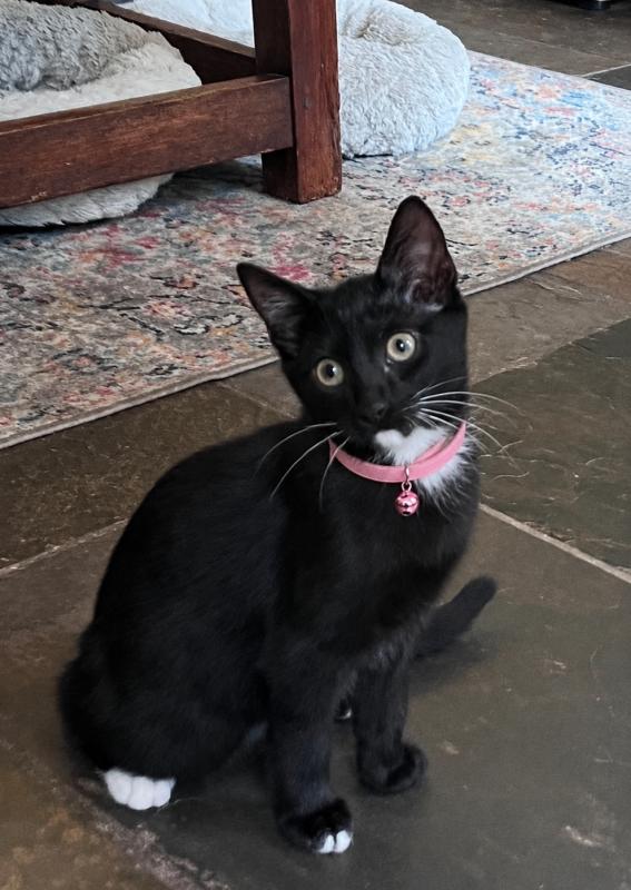 onyx