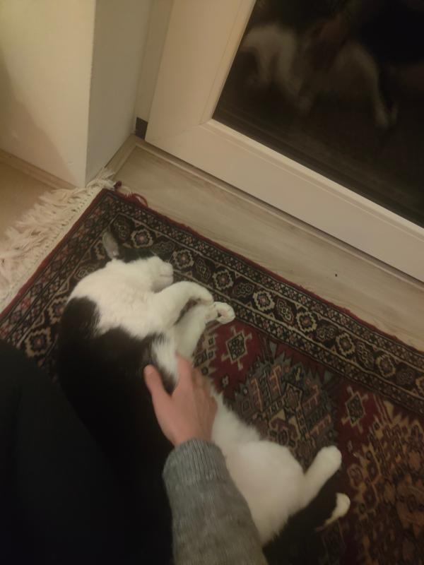 Dünya