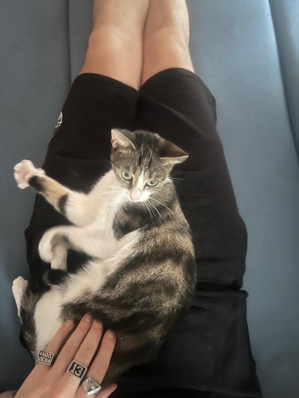 Cleo