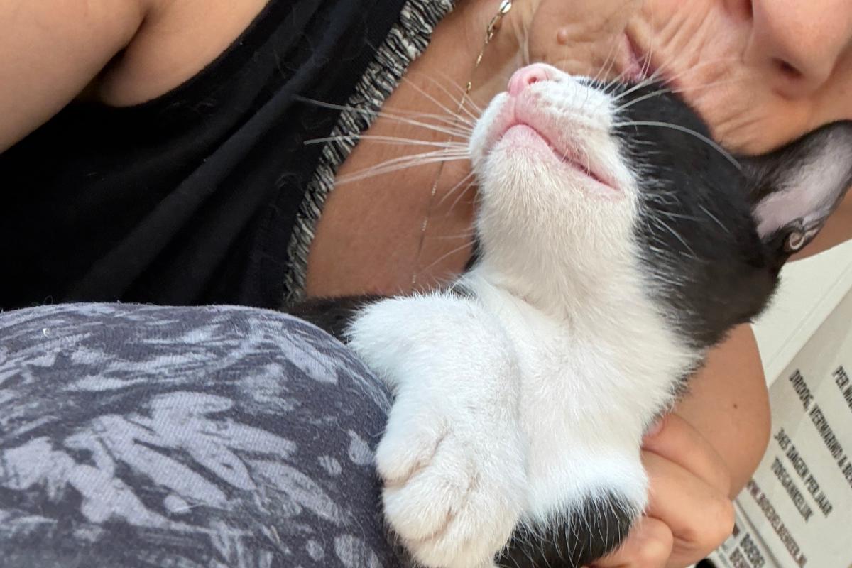 Ootje (Oreo)
