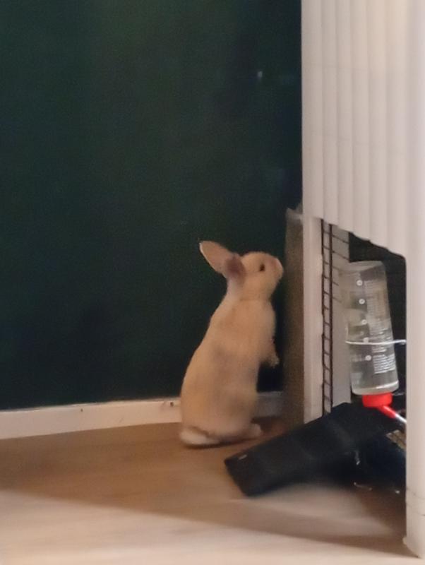 Max en Luna