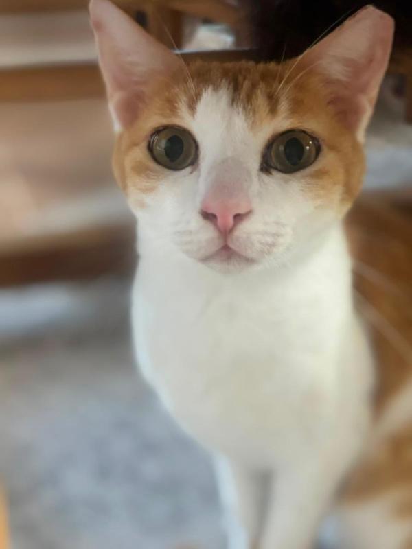 Tuti