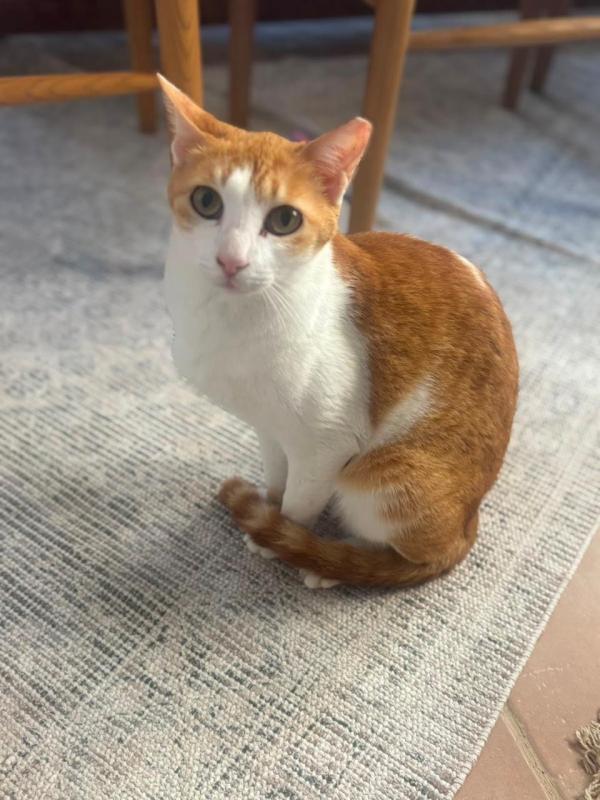 Tuti