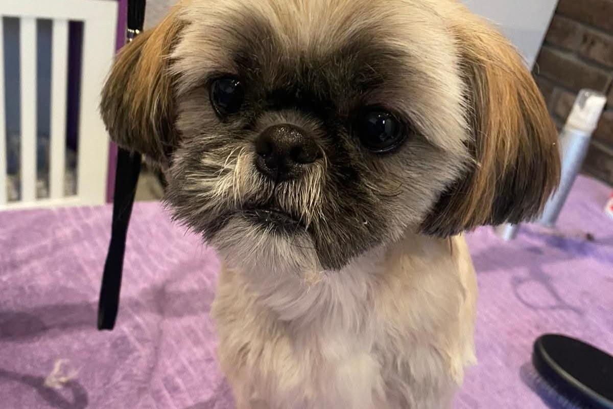 Beau