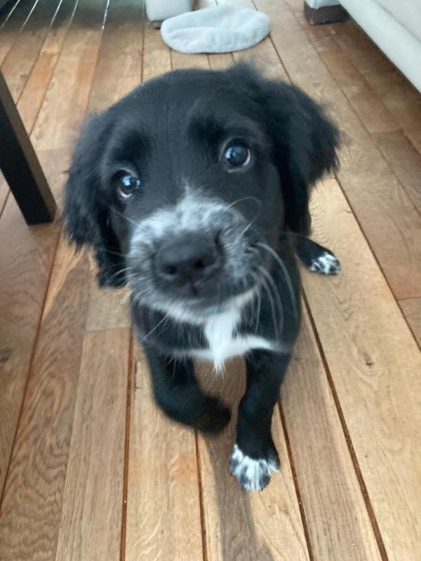 Molly