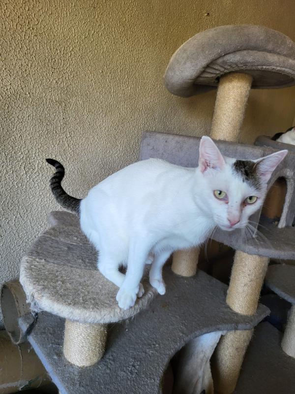 Lupita